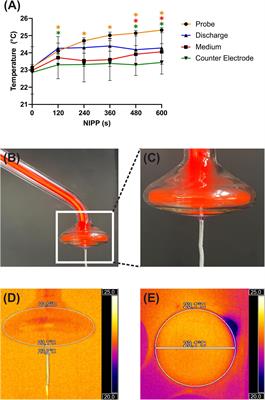 Beneficial effects of non-invasive physical plasma on human periodontal ligament cells in vitro